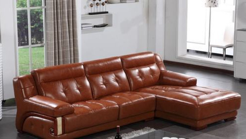 sofa skin